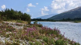 река Хадата